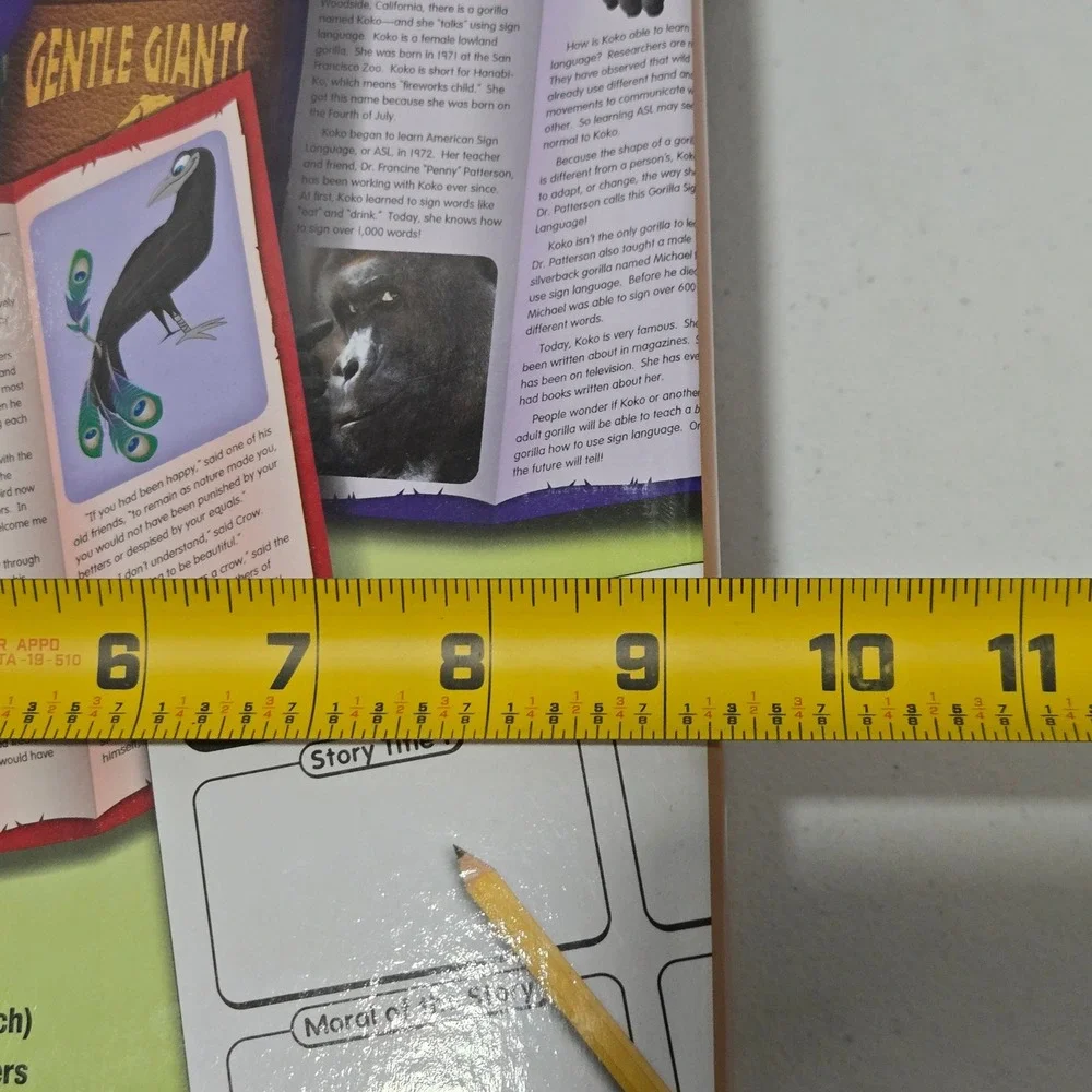 Lakeshore Grade 3 Whats the Point Comparing Text Center AA272 Reading Skills